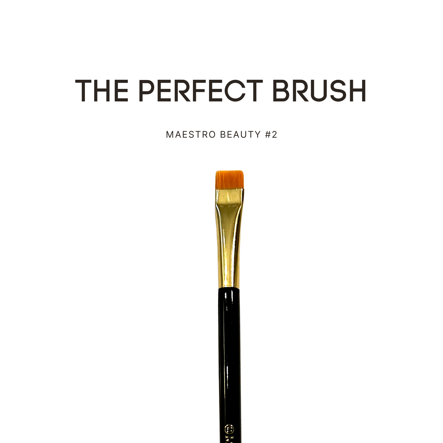 Maestro Beauty Brush #2