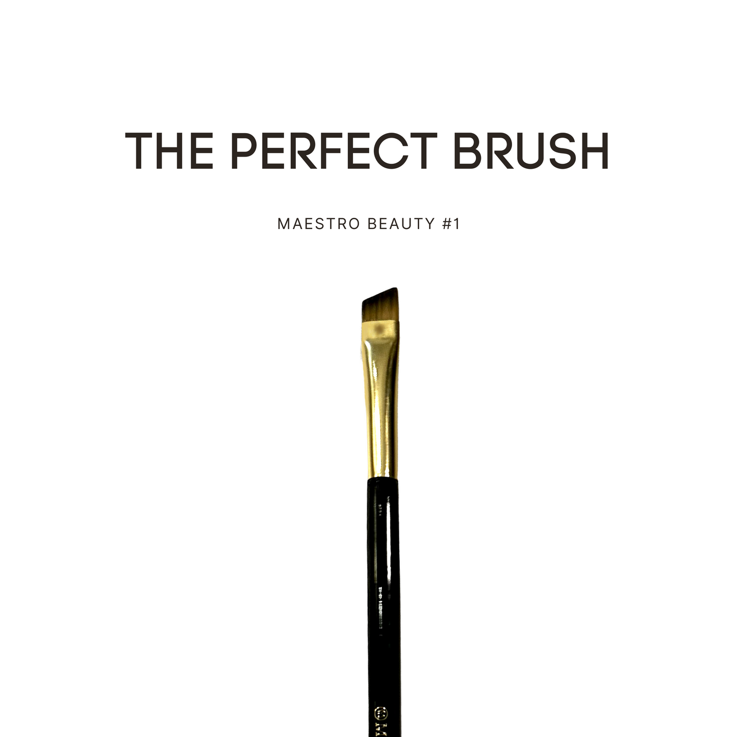 Maestro Beauty Brush #1