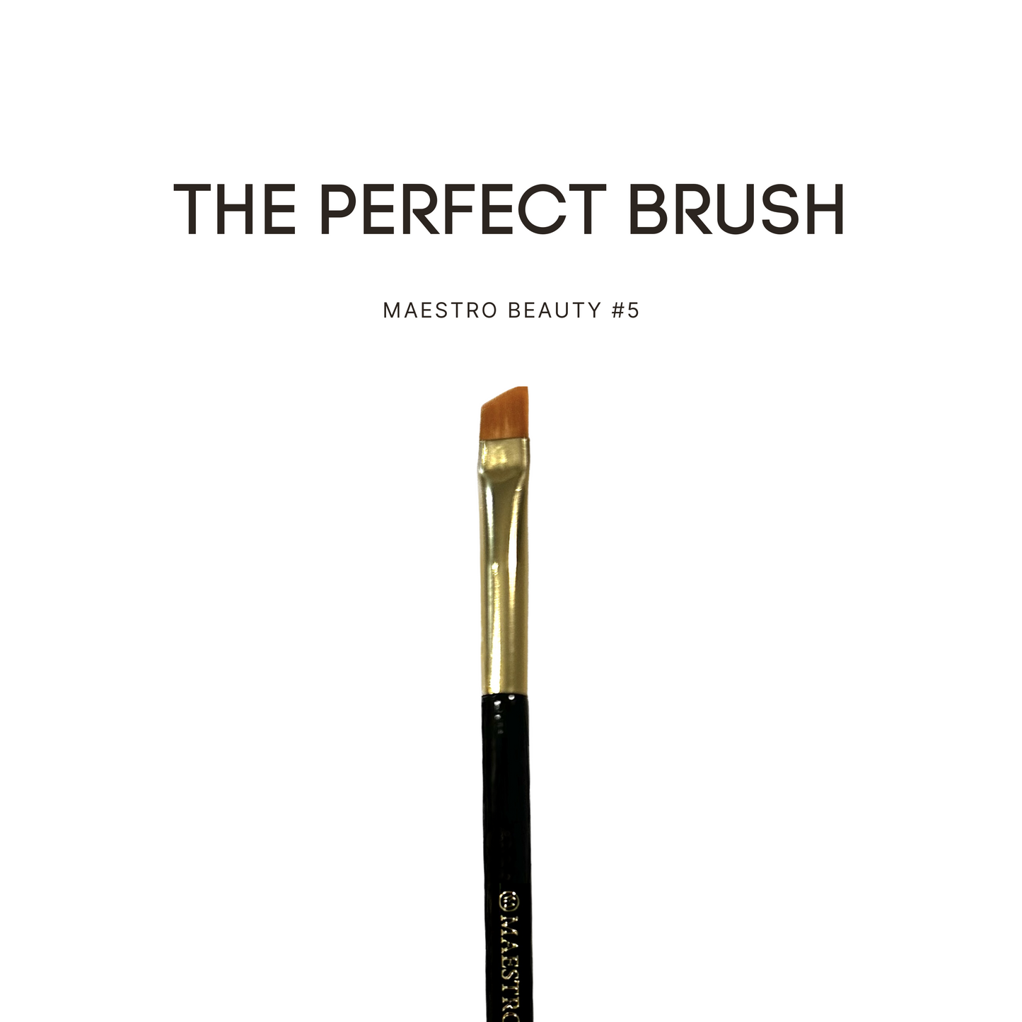 Maestro Beauty Brush #5